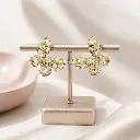 aretes rodinado premium.webp