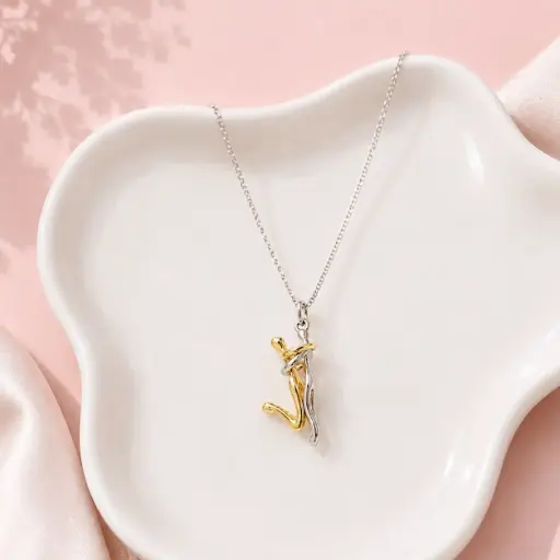 [G-CDD-126] Collar en rodinado silver dijes novios bicolor