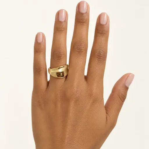 [AC-AN-436] Anillo en acero 316L inoxidable premium